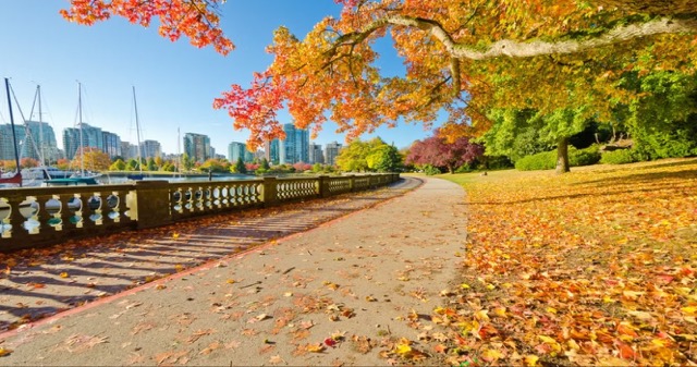 Colorful-Fall-Foliage-In-Vancouver