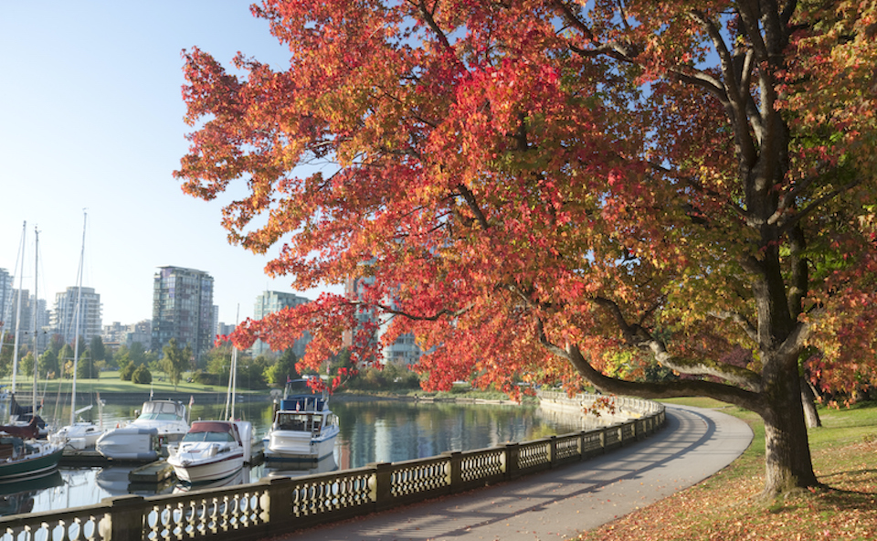 vancouver-city
