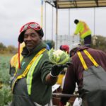 CANADA-AGRICULTURAL-WORKERS