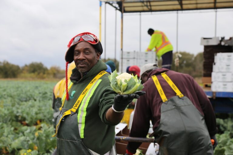 CANADA-AGRICULTURAL-WORKERS