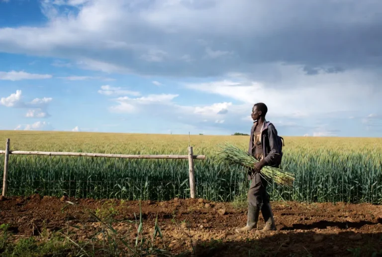 How To Migrate To Canada As An Agricultural Worker From Africa